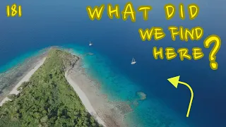 In search of the Best Coral EVER and we found it in Fiji ! Ep181