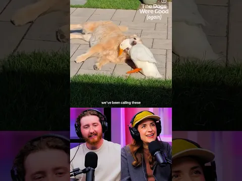 Dogs Can Make Friends With Anything!