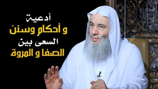 أحكام وسنن السعى بين الصفا والمروة والأدعية الواردة فى ذلك   شيخ دكتور محمد حسان دندنها