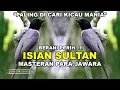 Download Lagu BERANI PERIH!! Isian Sultan Paling di Cari Kicau Mania|Masteran Para Jawara|FULL VARIASI