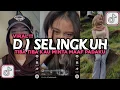 Download Lagu DJ SELINGKUH | TIBA TIBA KAU MINTA MAAF PADAKU VIRAL TIKTOK 2025
