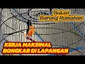 Lagu TERLALU GACOR DI LAPANGAN BOHONG