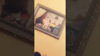 الفنانة مريم الحسيني في مقطع من حفل الحناء  بصوتها القوي الرنان  ما شاء الله دندنها