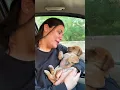 Puppy love and care #puppy #puppies #dog #dogs #dogmom #doglover #doglovers #shorts