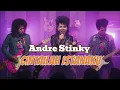 Lagu Andre Stinky - Cintailah Istanaku (Rock) | Cover by Viddaqz 