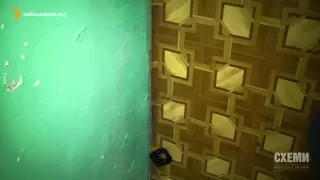                                         دندنها