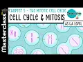 Chapter 5 - Cell Cycle Mitosis Masterclass