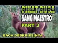 Download Lagu SUARA PANGGILAN RUSA DI ALAM LIAR KARYA SANG MAESTRO