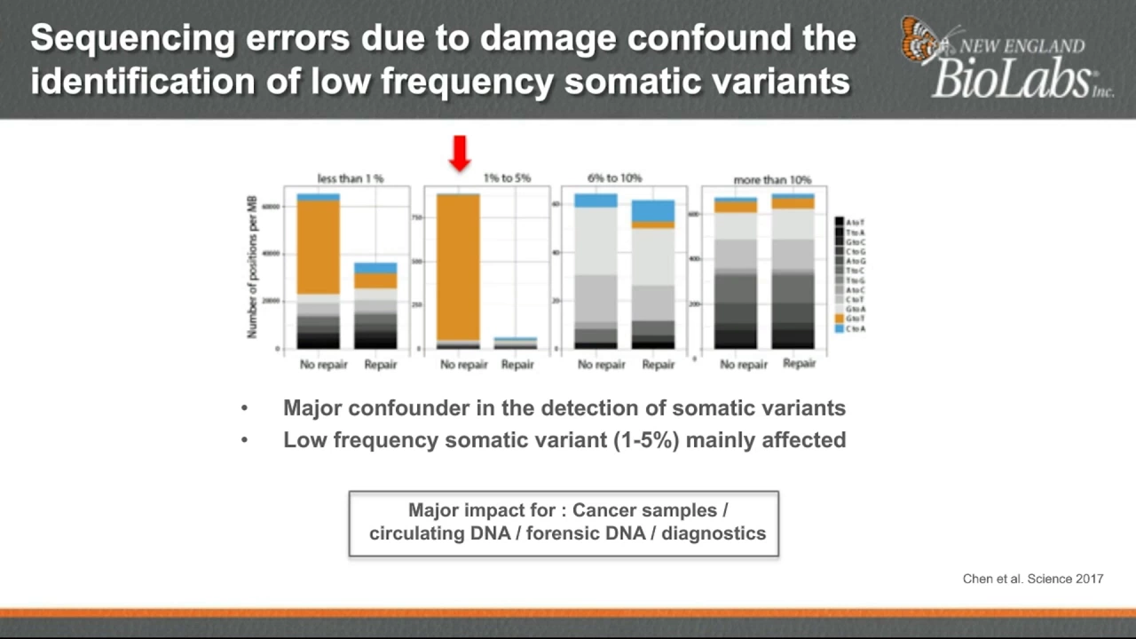 How library preparation affects sequencing accuracy