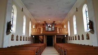                                                دندنها