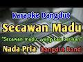 Download Lagu SECAWAN MADU - KARAOKE || NADA PRIA COWOK || Dangdut Band || Kristina || Live Keyboard