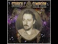 Sturgill Simpson - Turtles All The Way Down