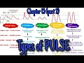 Types of pulse Chapter 15 part 2 Guyton and Hall text book of Physiology