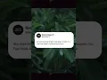 Download Lagu Aku bisa bersaing dengan org yang menyukaimu tapi tidak dengan yg kamu sukai #Short #QuotesBaperID