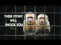 Should monkeys be kept as pets Watch this breathtaking capuchin monkey rescue