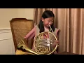 The Snake Charmer French Horn