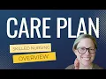 SECRETS to a PROFESSIONAL Nursing Home Care Plan