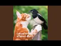 Download Lagu Suara Lebah dan Kicauan Burung Finch