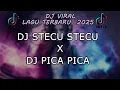 Download Lagu DJ STECU STECU X PICA PICA, VIRAL DI TIKTOK 🔥🔥 FULL BASS