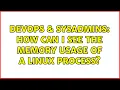 DevOps SysAdmins How can I see the memory usage of a Linux process 6 Solutions