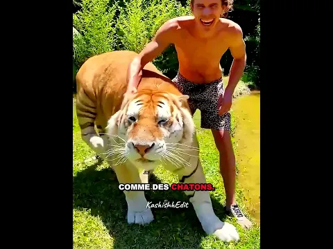 Garçon élevé par fauves 🐯🦍
