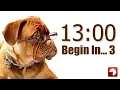 13 Minute Timer for PowerPoint and School - Alarm Sounds with Dog Bark