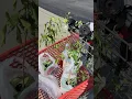 bought a brush cutter worth over 200 00 for 20 bucks at a tractor supply store