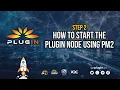 Step 2 - How to start the Plugin Node using PM2
