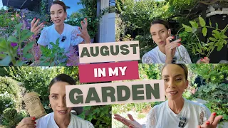 August In My Garden