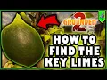 How to find the Key Limes in Grounded 2
