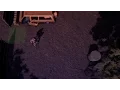 TopDown Prototype