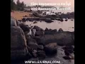Download Lagu Tüm Zamanların En İyi 100 Romantik Komedi Filmi