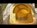Golden Nugget Las Vegas Swimming Pool The Tank and The Hideout