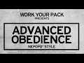 Advanced Obedience NePoPo® Style Promo