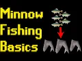 Basic Minnow Fishing Guide 2021 OSRS