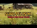 Download Lagu Suara Pelosok !! Dari Kelompok Yang Terpojok ‼️