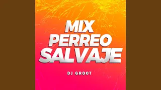 Download Mix Perreo Salvaje MP3