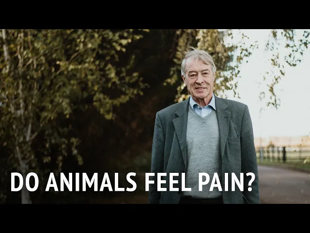 Do Animals Feel Pain? | Prof. Donald Broom