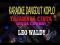 Karaoke Tajamnya Cinta Nada Cewek - Leo Waldy  (Karaoke Dangdut Tanpa Vocal)