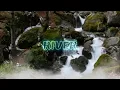 Download Lagu JKT48 - River Lyrics video