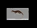 Chupacabra Speedpaint