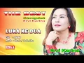Download Lagu ERVI KARINA - LUKA KEDUA