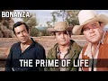 Download Lagu Bonanza - The Prime of Life | Episode 147 | WILD WEST | Best Western Series | Full Length