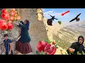 Download Lagu Picking Wild🍊🍅 Pomegranates in the ⛰️Zagros Mountains | A Nomad Girl's Heartfelt Gift to Her Family