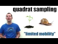 Population Estimation Methods