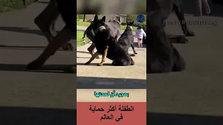 الطفلة أكثر حماية في العالم  الطفلة أكثر حماية في العالم