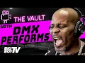 Download Lagu DMX Performs LIVE in The Neighborhood!