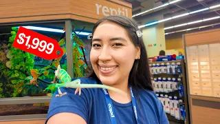 We visited the largest pet store in Mexico PETCO