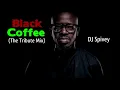 Black Coffee "The Tribute Mix" (A Soulful, Afro House Mix) by: DJ Spivey
