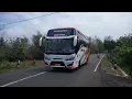 Download Lagu basuri V3 bus Gusti trans...